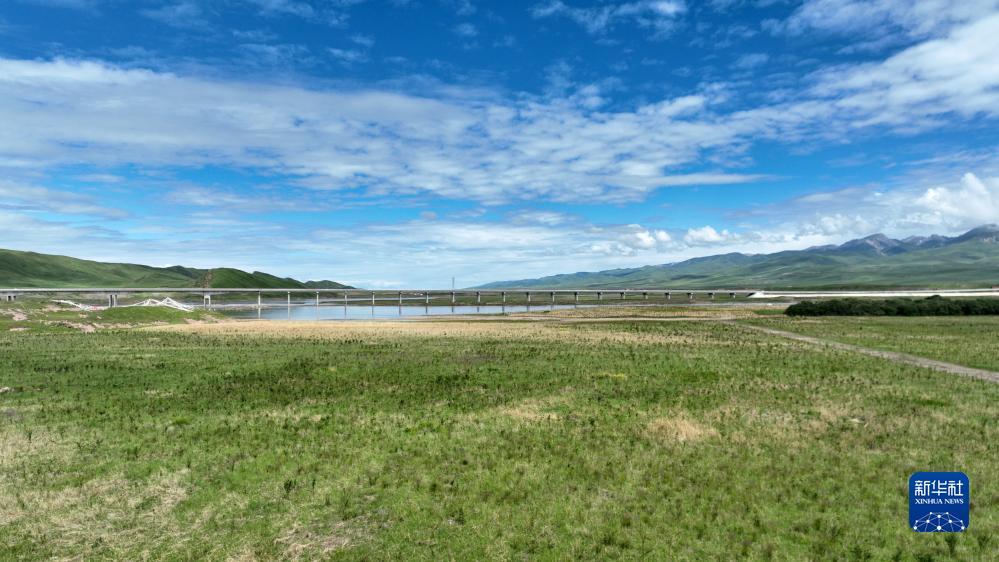 扑克三公游戏